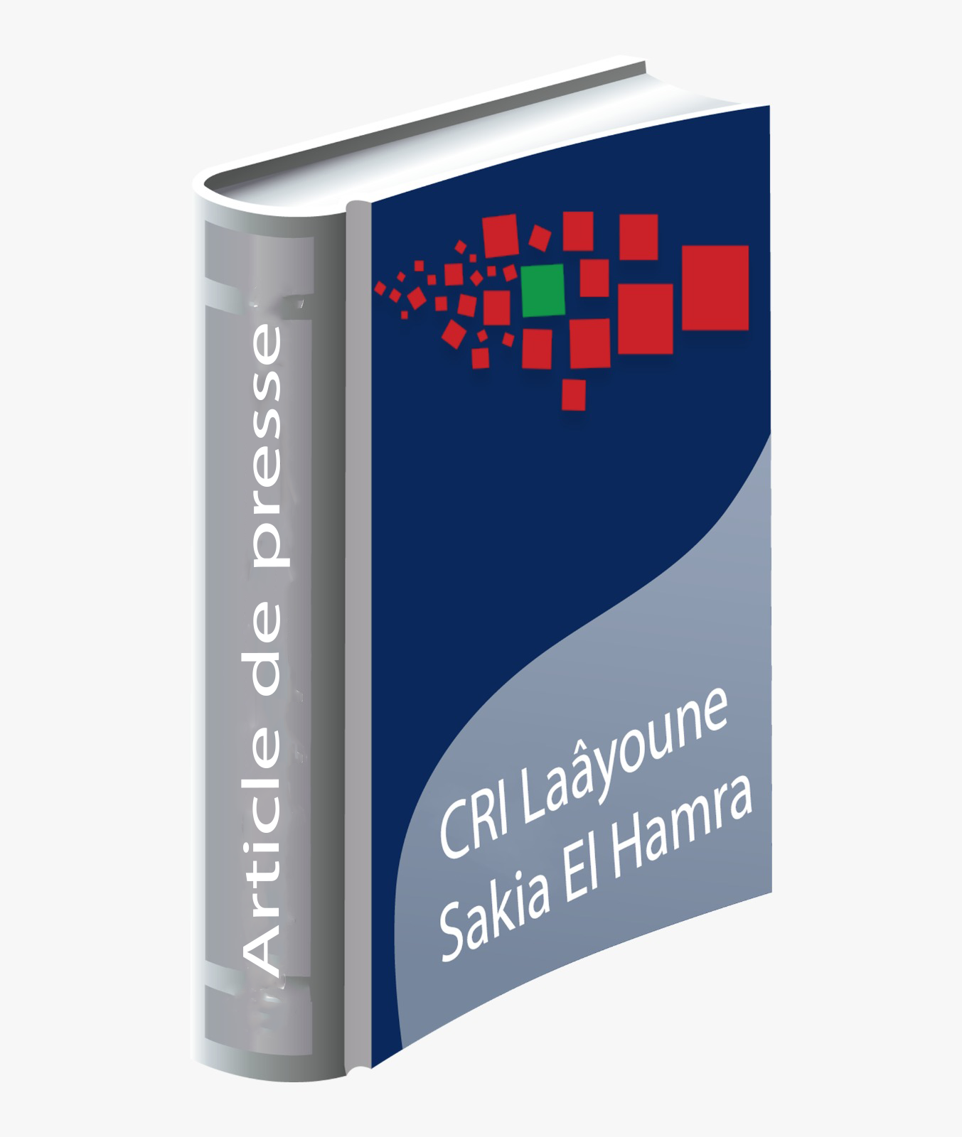 Le conseil d’administration du CRI de Laâyoune-Sakia El Hamra approuve le budget prévisionnel pour 2021