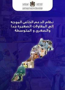 Le Nouveau dispositif de soutien spécifique aux TPME